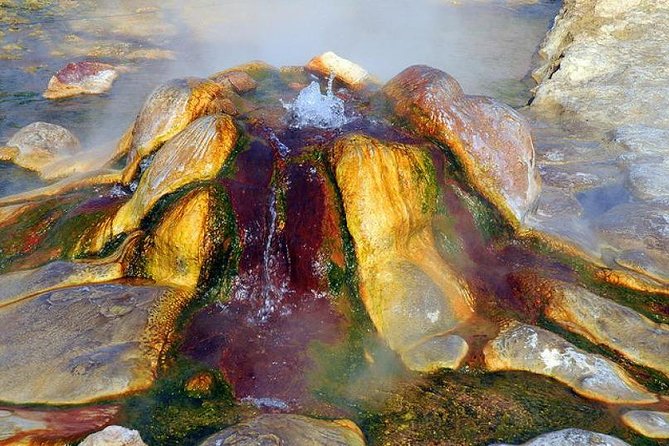 Pamukkale, Cleopatra'S Pool, Hieropolis From Antalya With Lunch - Booking and Cancellation Policies