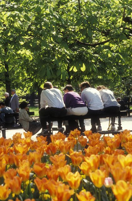 Paris Secret Gardens 1.30 Hour Long Walking Tour - Customer Reviews