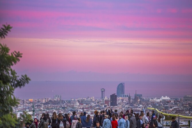 Park Güell Private Tour - Tour Highlights