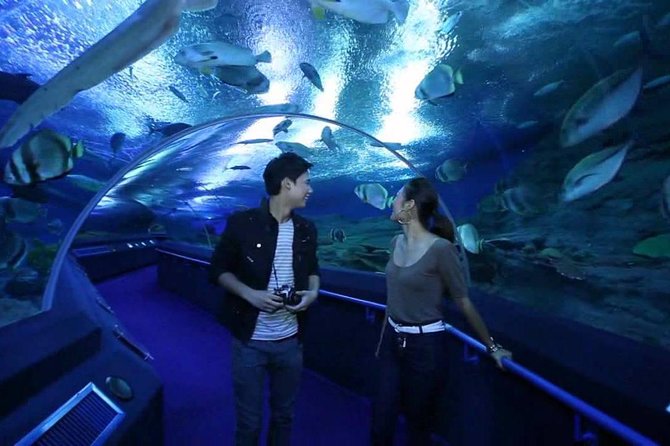 Pattaya Underwater World Admission Ticket With Return Transfer - Contact and Support