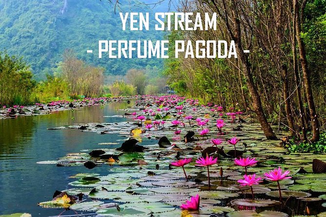 Perfume Pagoda Full Day Private Tour - Pricing Information