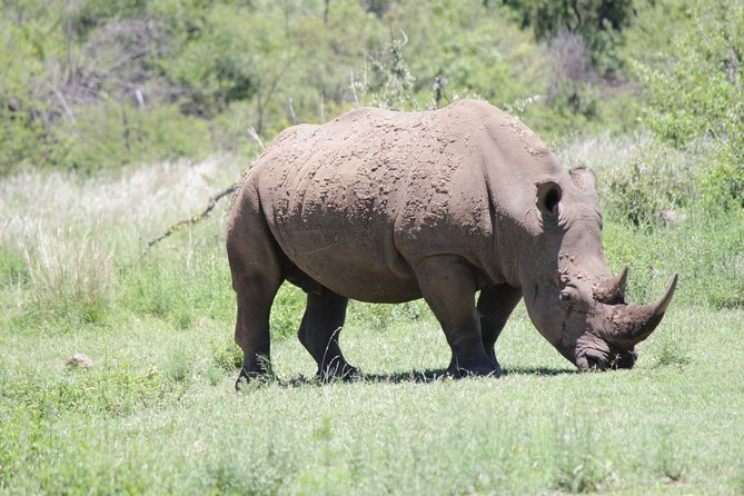 Pilanesberg National Park Day Tour From Pretoria, Every SATURDAY - Tour Inclusions