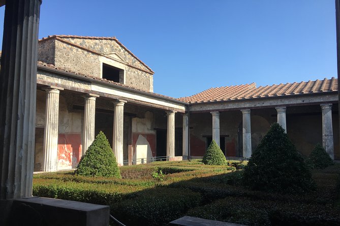 Pompeii and Herculaneum With Archaeologist, Small Group of 10!!! - Cultural Immersion Experience