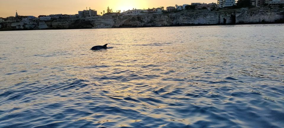 Private Boat Tour of the Island of Ortigia With Lunch - Tour Itinerary