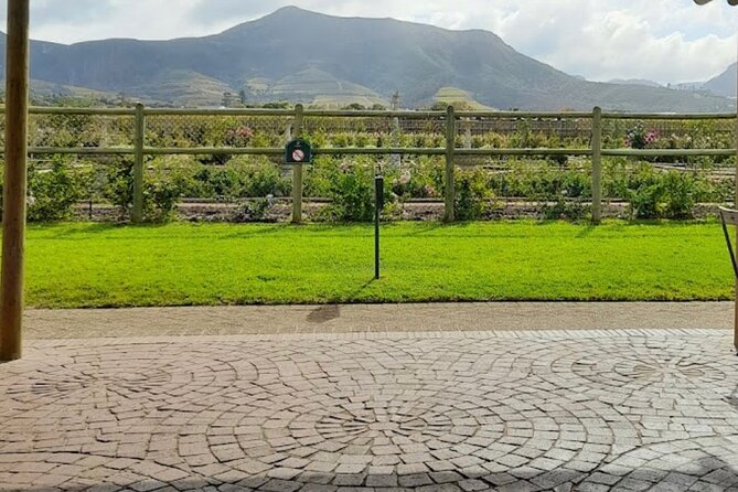 Private Constantia Wine Tour With Goodie Bag From Cape Town - Pickup Information