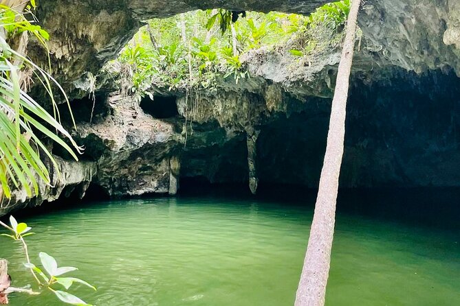 Private Cozumel Jeep Tour & Jade Caverns Cenote: All-Inclusive - Transportation and Pickup Options