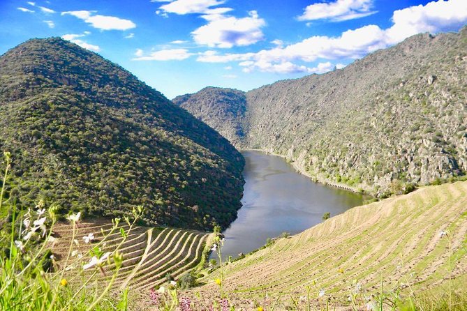 Private Douro Valley - Senses Experiences - Culinary Delights and Wine Tasting