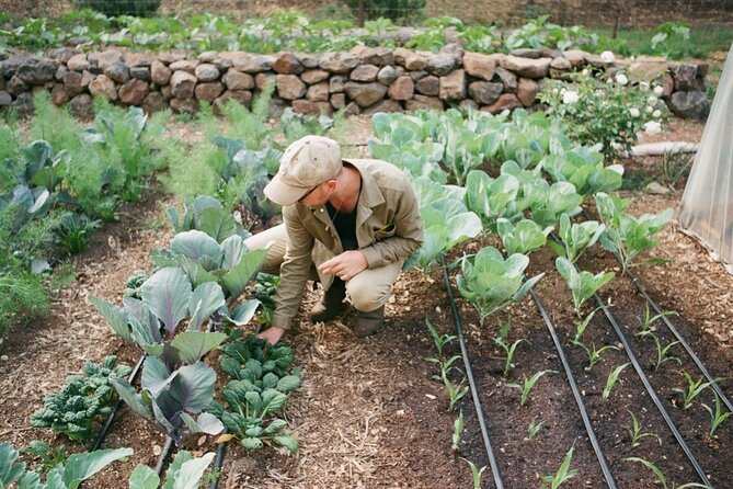 Private Farm Workshop in Napa Valley - Pricing and Additional Information