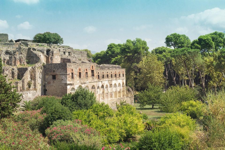 Private Full Day Tour Sorrento Coast and Herculaneum by Van - Sorrento Peninsula Visit