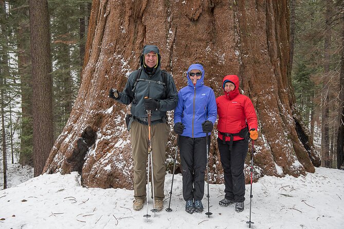 Private Guided Snowshoe Hike in Yosemite - Directions