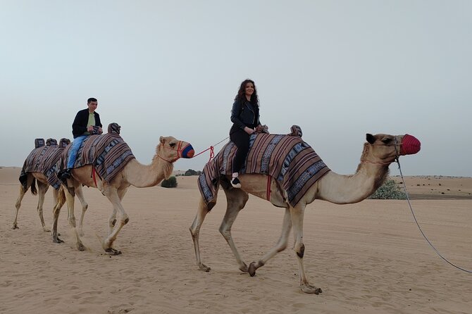 Private Morning Desert Safari Tour in Lehbab,Dubai - Common questions