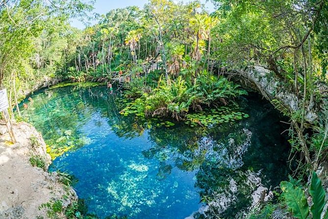 Private Snorkeling Tour in 2 Cenotes With Mayan Lunch - Traveler Reviews and Ratings