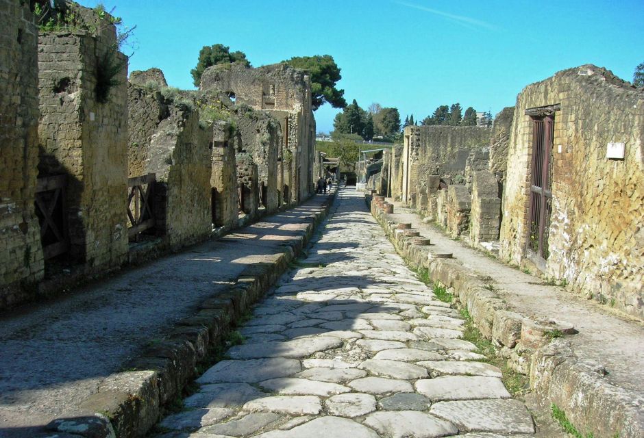 Private Tour Ercolano Ruines and Wine Tour Tasting up to 4 P - Experience