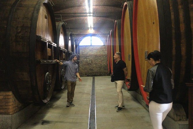 Private Tour From Turin: Full Day Langhe Region With Its Colors and Flavors - Assistance Available