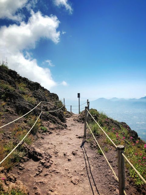 Private Tour Mt.Vesuvius&Herculaneum - Last Words