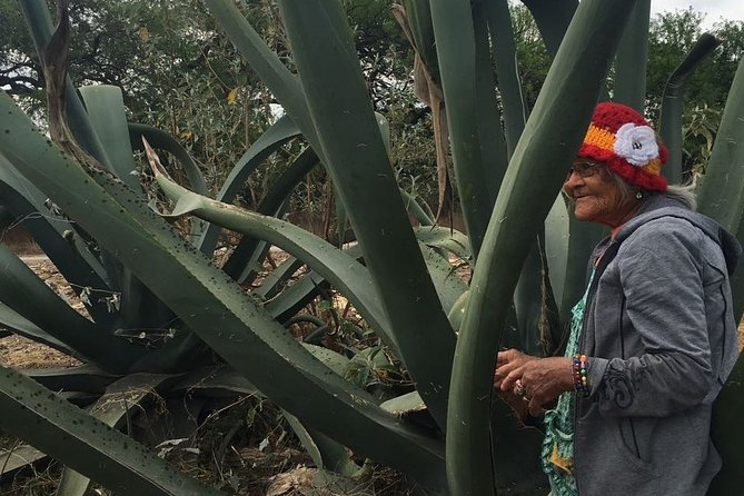 Private Tour of the Mezcal Route With Ancestral Drinks - Pricing and Legal Information