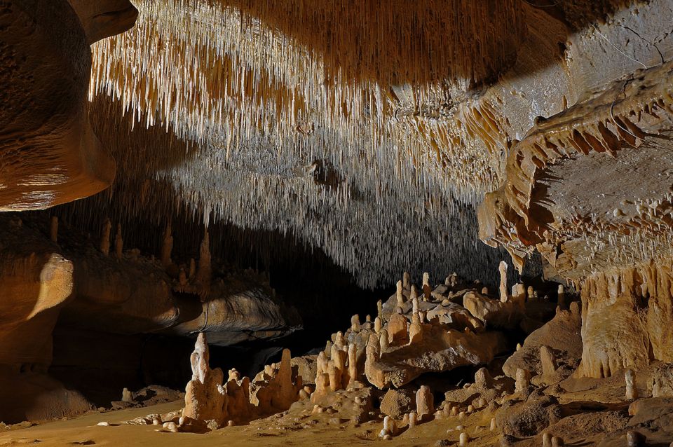 Private Tour to Cougnac Prehistoric Cave With Transportation - Last Words