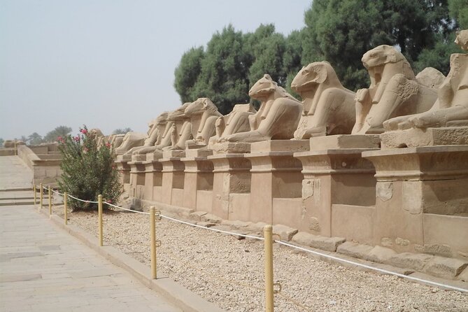 Private Transfer Service to Luxor and Karnak Temples - Review Ratings and Count