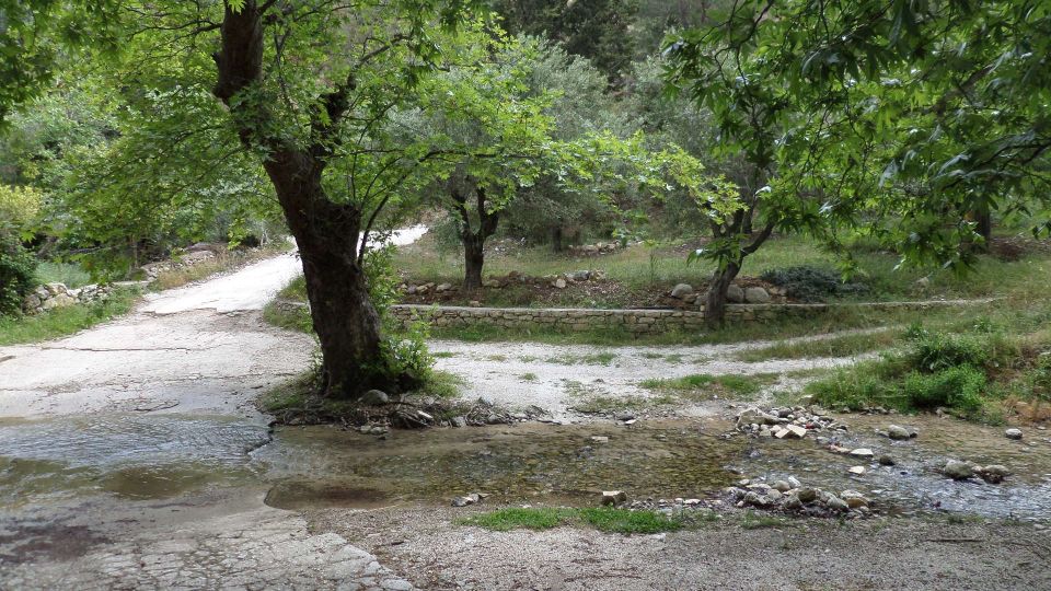 Quad Safari Ierapetra Day Tour - Inclusions and Restrictions