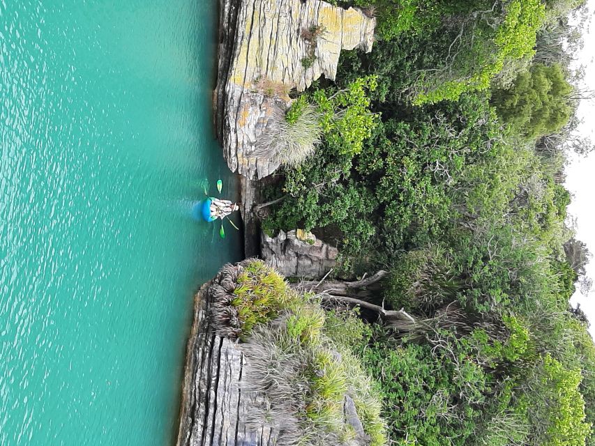 Raglan: Nature Cruise of Raglan Harbour - Location and Reviews