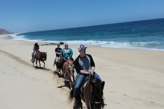 Ride a Horse Around the Beautiful Beaches of Todos Santos. - Additional Resources for Trip Planning