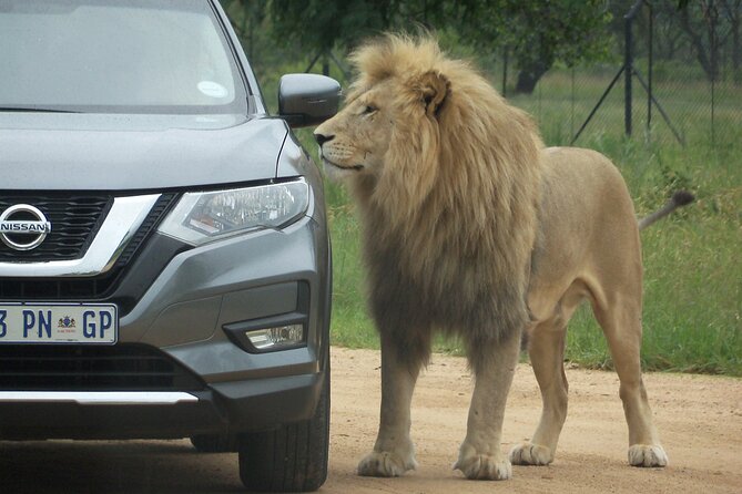 Roar Through the Bush Quadbike Safari Adventure Near Johannesburg - What to Bring on the Safari