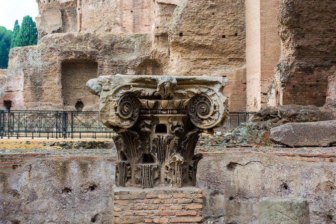 Rome Private Tour Colosseum, Baths of Caracalla and Circus Maximus VIP Entrance - Tour Cancellation Policy