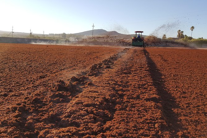 Rooibos Tea Plantation Private Tour and Tasting  - Western Cape - Cancellation Policy Details