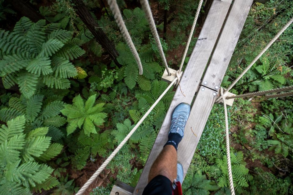 Rotorua: Redwoods Altitude High Ropes Adventure - Customer Experience