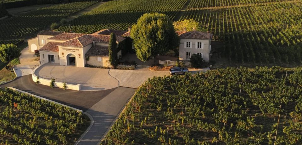 Saint-Émilion: Bordeaux Vineyard Tour and Wine Tasting - Cancellation Policy