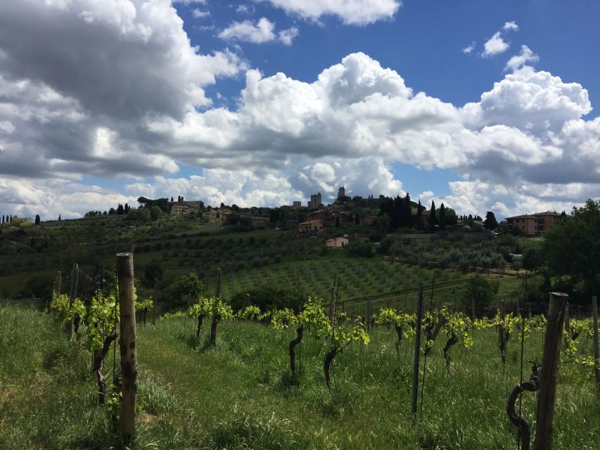 San Gimignano: Saffron and Vernaccia Tasting With Lunch - Inclusions