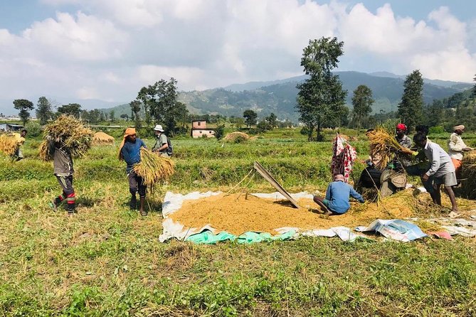 Sankhu Nagarkot Hiking - Local Cuisine Experience