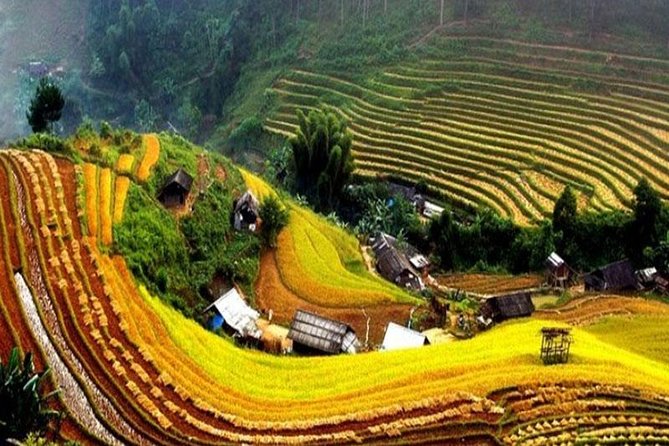 Sapa Trekking 2 Days - 1 Night, Homestay or Hotel by Sleeping Bus - Detailed Itinerary and Accommodation Options