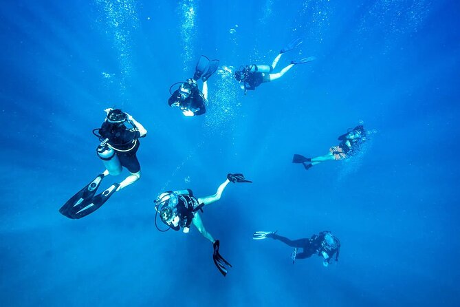 Scuba Dive With Sharing Transfers - Common questions