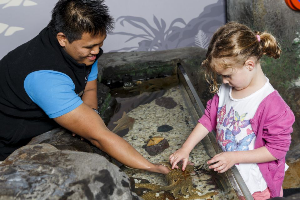 Sea Life Kelly Tarlton's Aquarium General Admission - Attraction Highlights