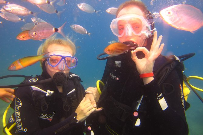 Side: Scuba Diving Experience - Cancellation Policy Details