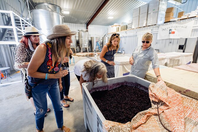 Small-Group Wine, Beer and Spirits Tour, Fredericksburg - Important Details for Guests