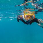 4 south tenerife guided snorkeling South Tenerife: Guided Snorkeling