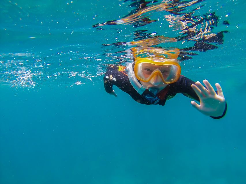 4 south tenerife guided snorkeling South Tenerife: Guided Snorkeling