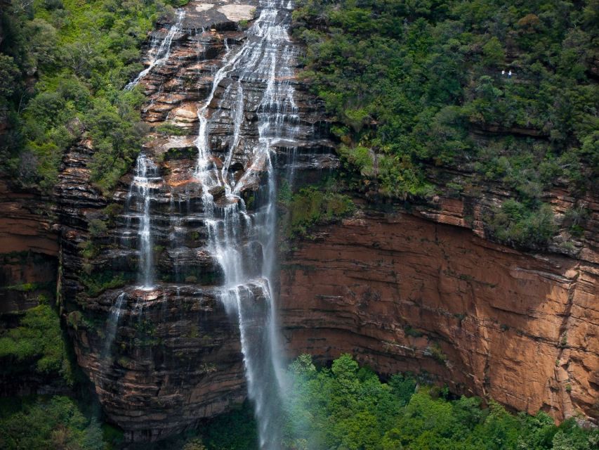 Sydney: Private Day Trip to the Blue Mountains - Testimonial