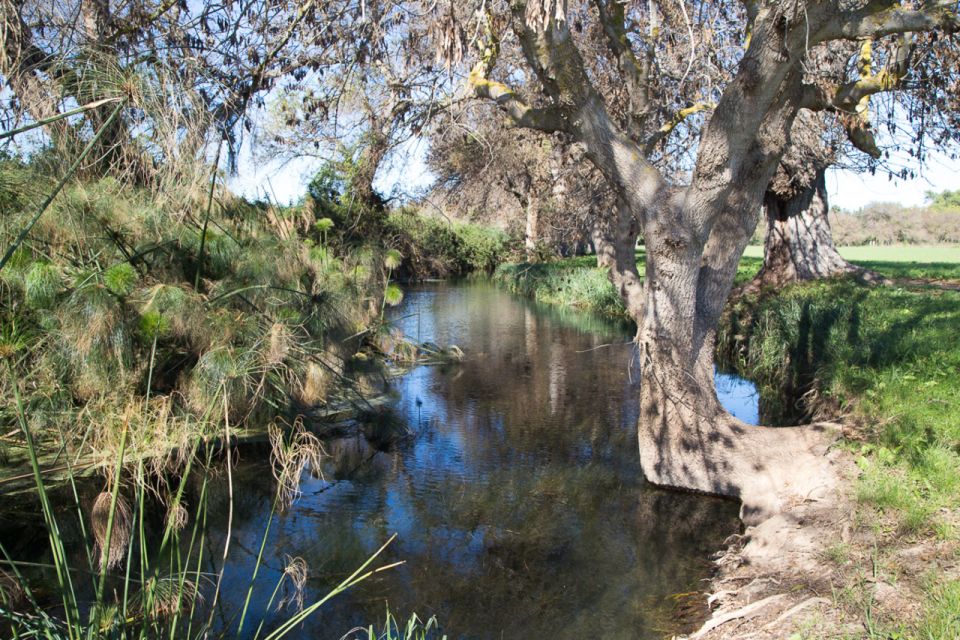 Syracuse: Ciane River Nature Reserve Guided Trek - Experience Description