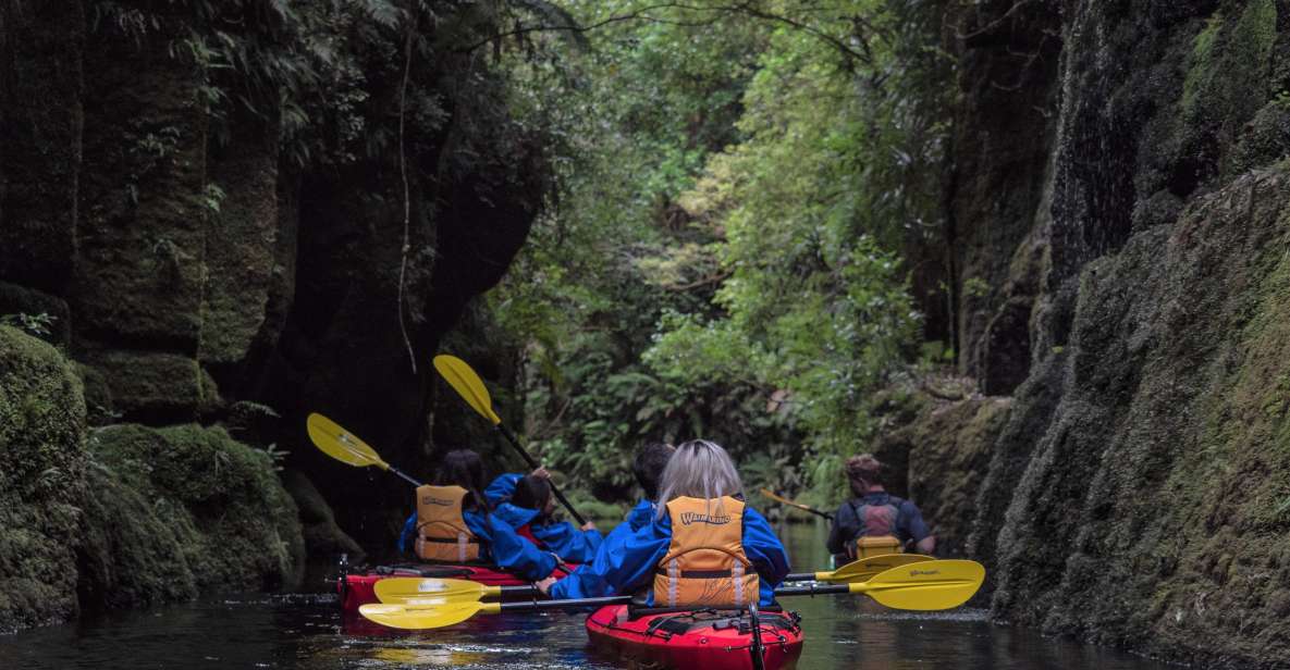 Tauranga: Scenic Lake Mclaren Kayak Tour - Booking Details