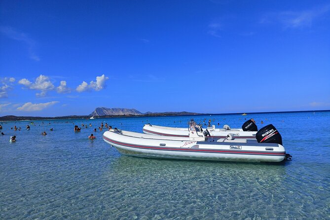 Tavolara: Mini Tour of the Archipelago From San Teodoro