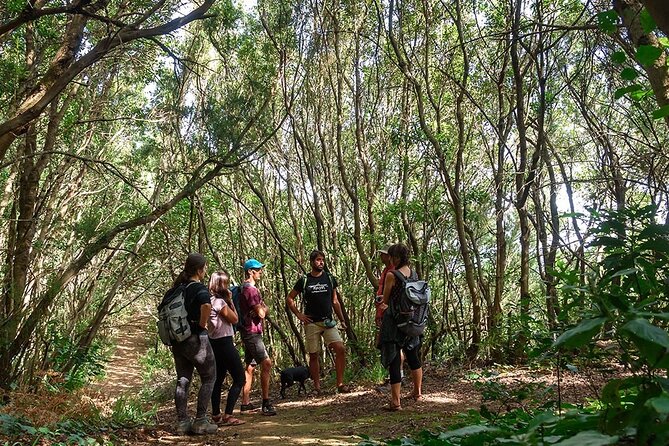 Thematic Hiking Route La Zarza in La Palma - Last Words