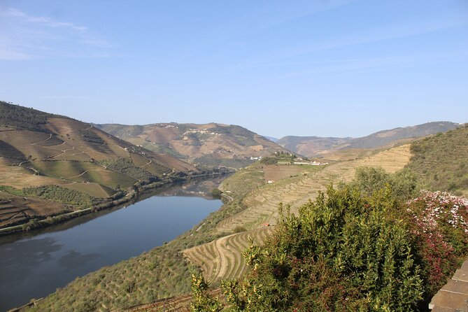 Tour the Douro Wine Region, and Discover the Fantastic Landscape - Customer Reviews and Ratings