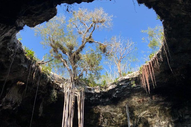 Tour to Cenotes Santa Barbara - Support and Inquiries Information