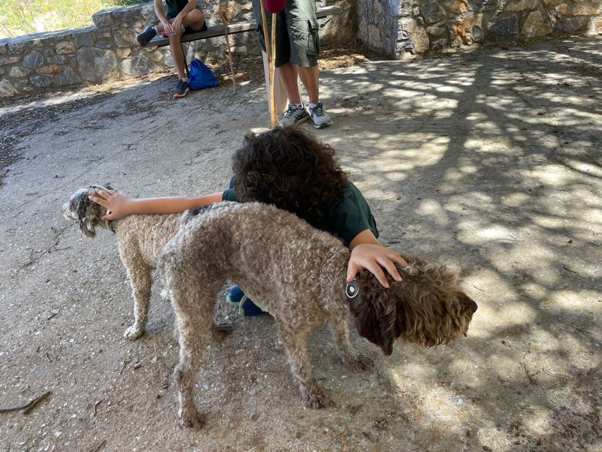 Truffle Hunting, Culinary & Wine Celebration From Elounda