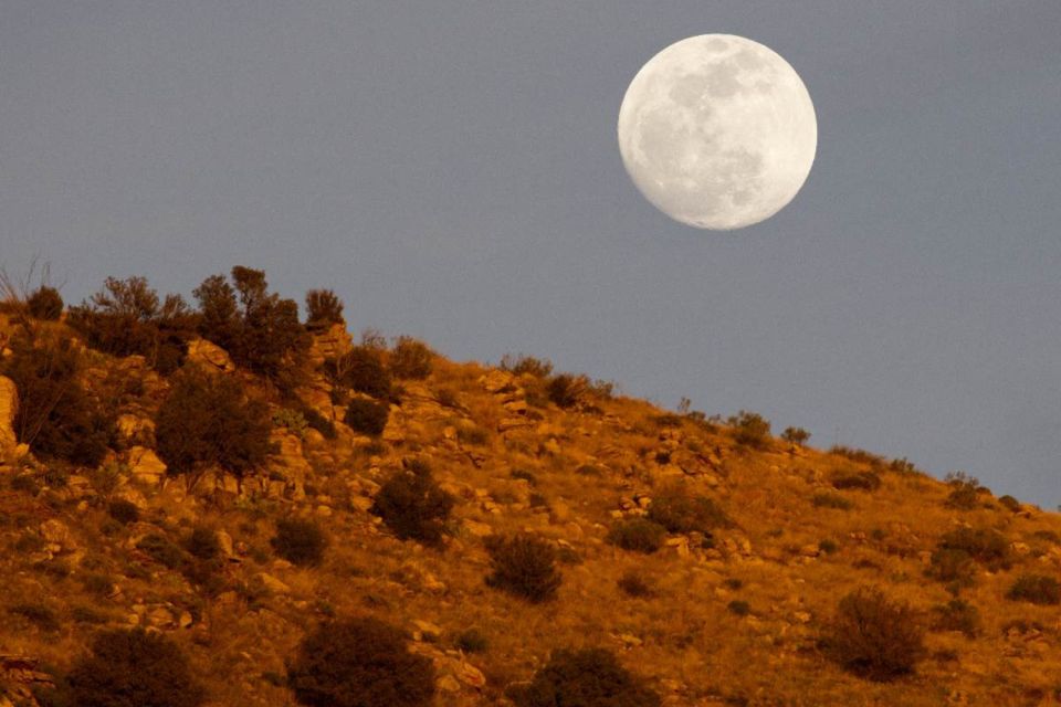 Tucson: Mt Lemmon & Saguaro NP Self-Guided Bundle Tour - Tour Benefits