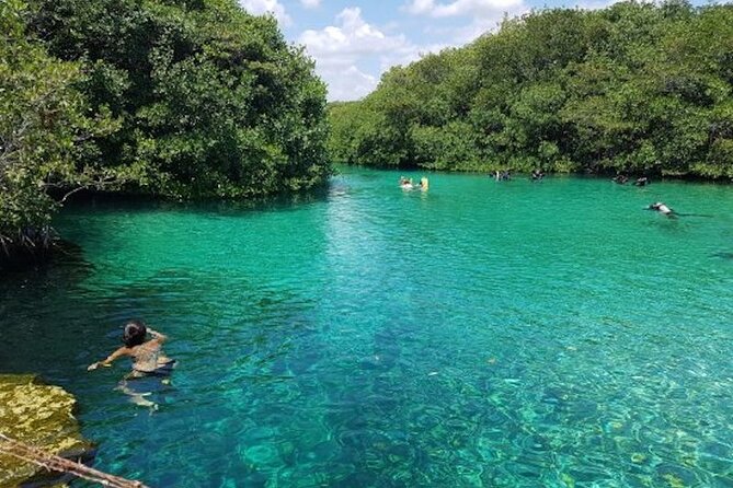 Tulum Area Experiences Guided Snorkeling Tour - Casa Cenote Ocean Reef & Lunch - Common questions