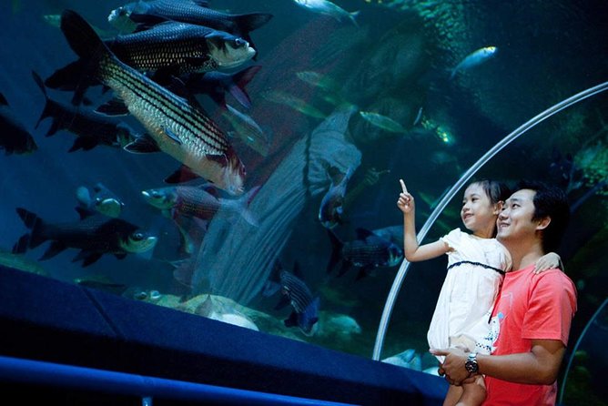 Underwater World at Pattaya Admission Ticket - Contact Information for Assistance